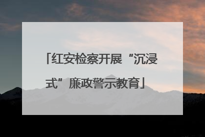 红安检察开展“沉浸式”廉政警示教育
